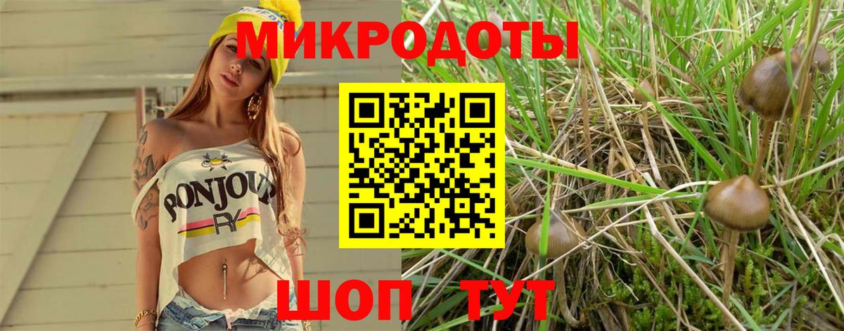 Псилоцибиновые грибы ЛСД  Вход с VPN  Чайковский  Галлюциногенные грибы Psilocybe 
