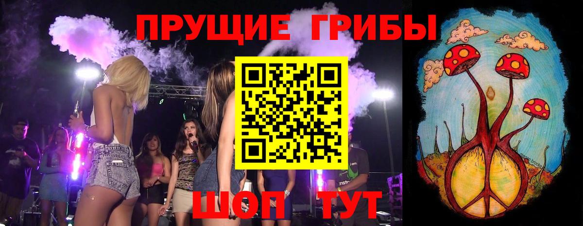 Галлюциногенные грибы Psilocybine cubensis Чайковский